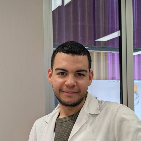 Francesco Sangineto's picture